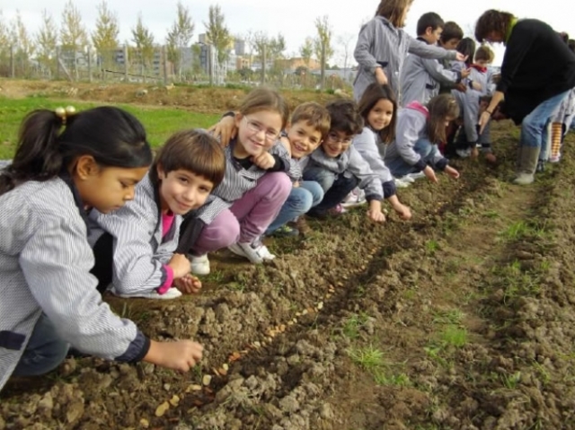 Definición 8: Validez Ecológica