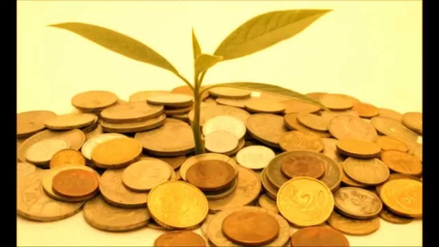 Características Fisocracia