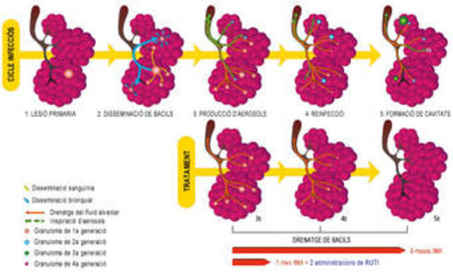 La hipótesis de la Panspermia