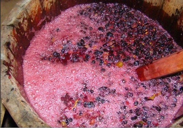 Transformacines organicas