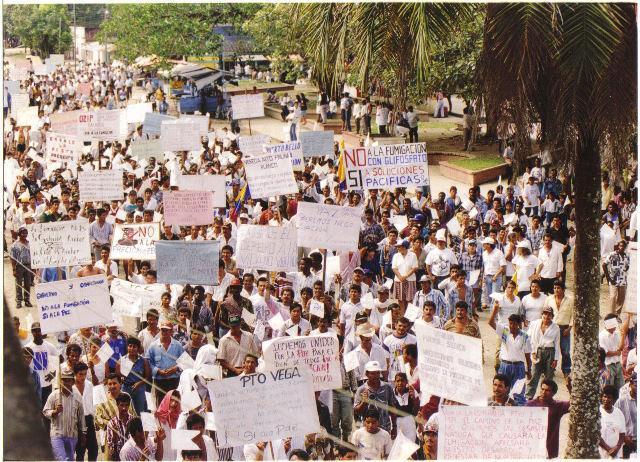 Marchas campesinas por el conflicto del narcotrafico