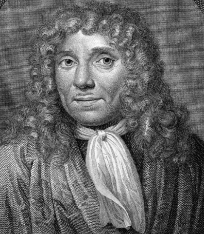 Anton van Leeuwenhoek