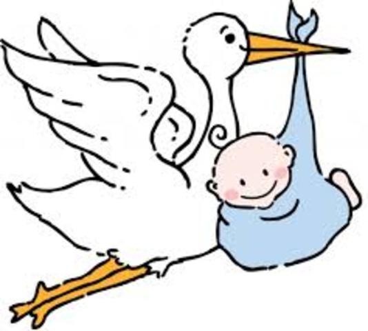 Yo nací en Champaign, Illinois a las 9 de la mañana.