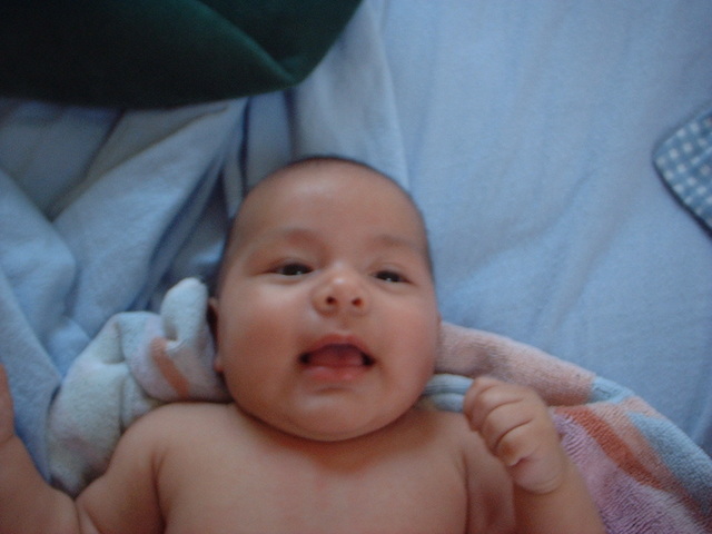 yo naci en Raleigh de Carolina de Norte