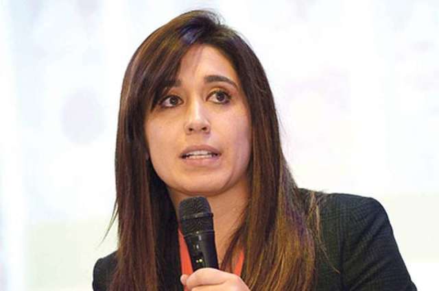 Panasonic y Olympus: