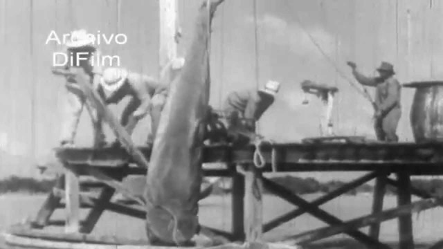 Fotográfico Documental