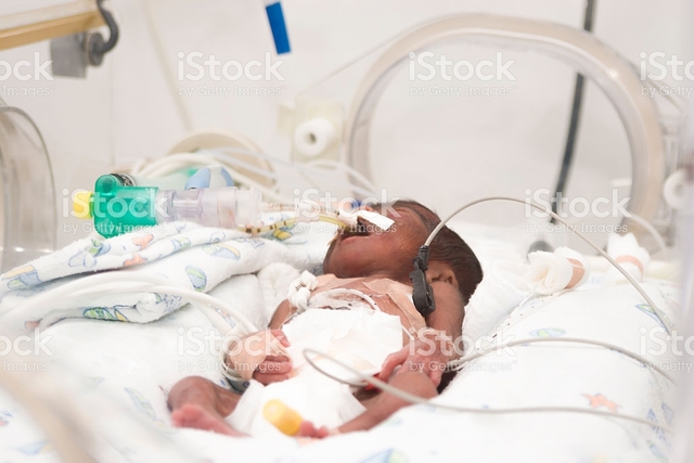 La primera incubadora