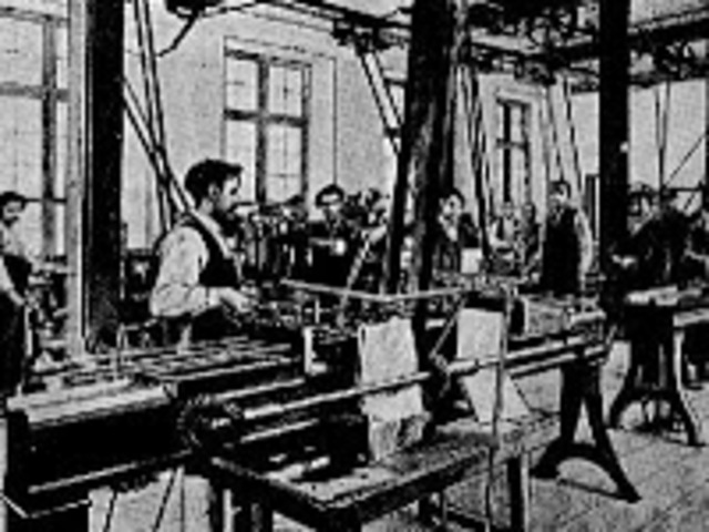 Taladradora de Huesillos multipes