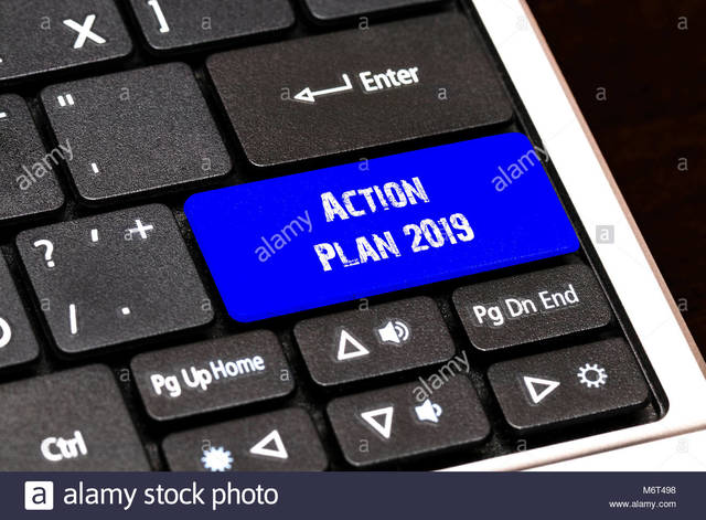 Action plan to 2019