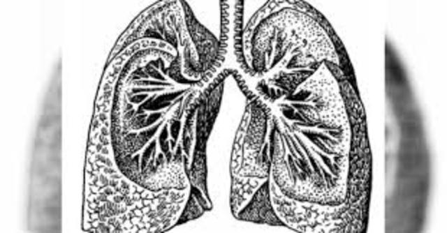 se demuestra la incidencia en las personas de contraer carcinoma