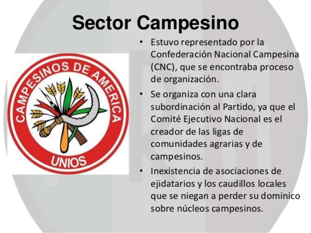 Confederación Nacional Campesina (CNC)