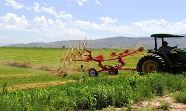 DESARROLLO RURAL INTEGRAL