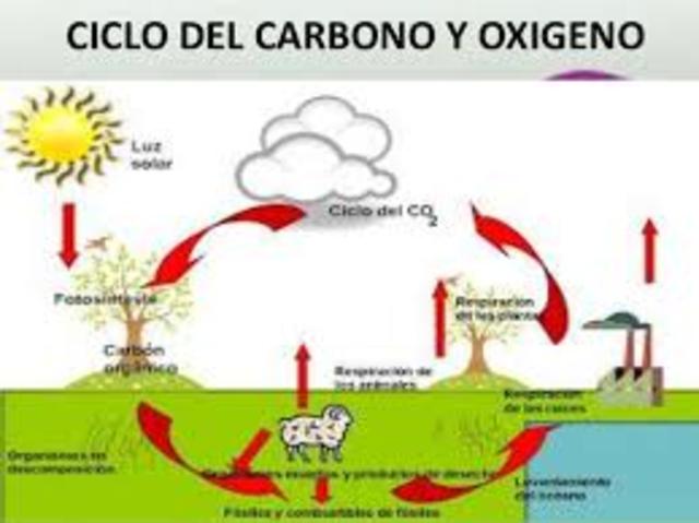 Siglo VI Antes de Cristo pensamiento filosofico