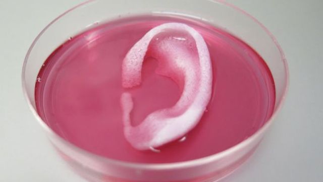 Organovo fa la pimera venda de teixits bioimpresos