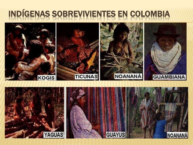 ¿DESDE CUÁNDO EL ESTADO COLOMBIANO RECONOCE LA IMPORTANCIA DE LAS COMUNIDADES INDÍGENAS?