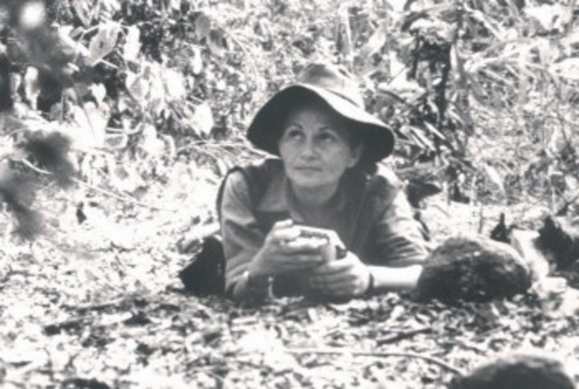 Informe de los Asesinatos