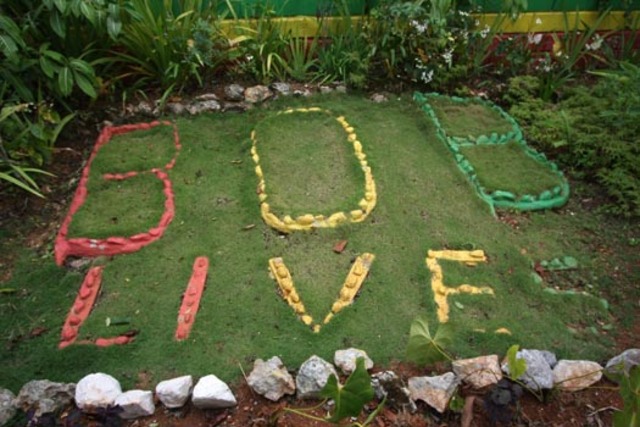 It locked like there was going to be civil war in Jamaica