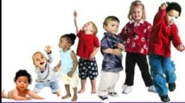 TRANSICIONES ECOLOGICAS