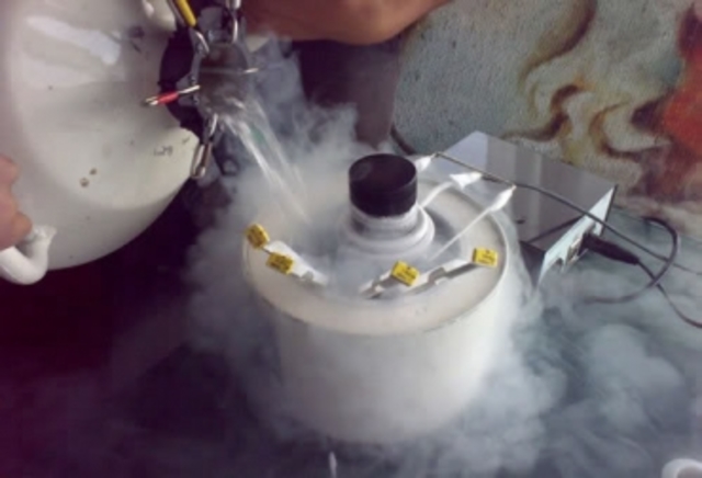 Se produce por primera vez un ternero a partir de un embrión congelado