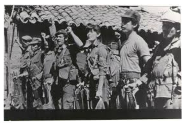 Repelen a la guerrilla