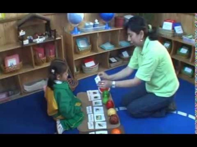 Noción del Docente (MONTESSORI)