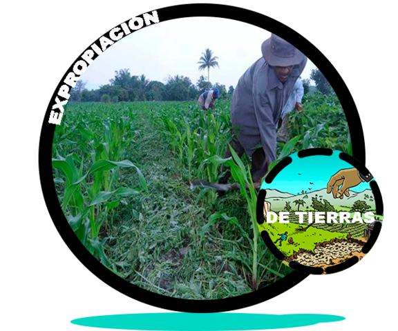EXPROPIACIÓN DE TIERRAS