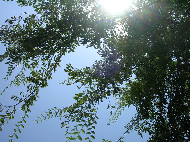 DIA DE BAUTIZO DE JOSE DOMINGUEZ ESCOBAR