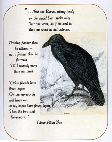 The Raven