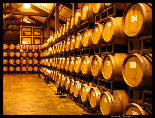 fermentacion de licores