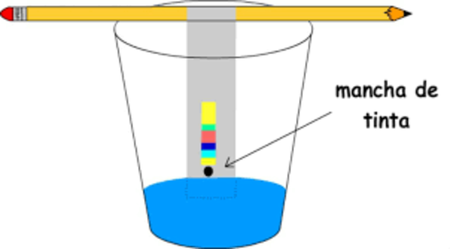 invencion de la cromatografia