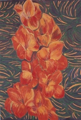 Orange gladiola
