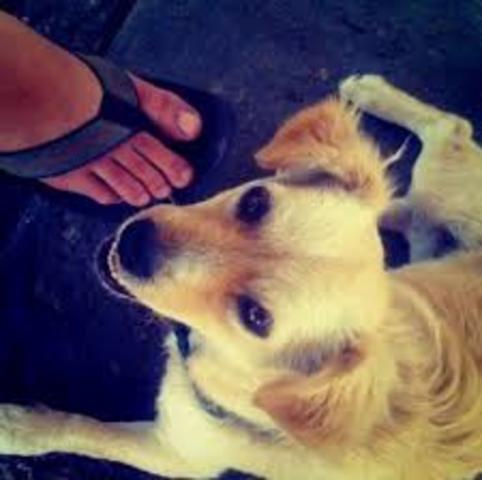 first photo to Instagram