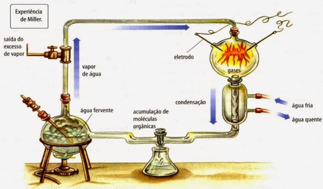 Hipótese autotrófica e heterotrófica