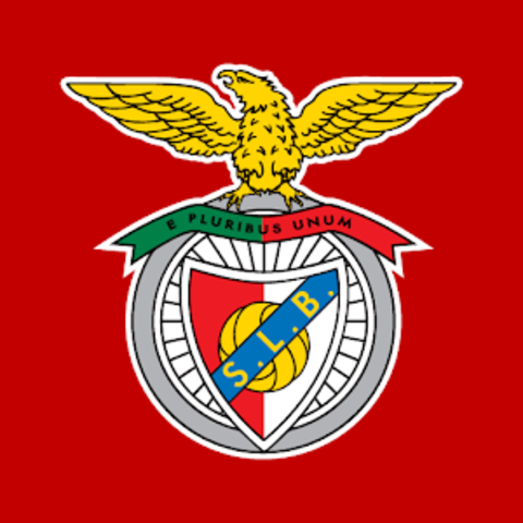 Fui a mi primer juego del Benfica