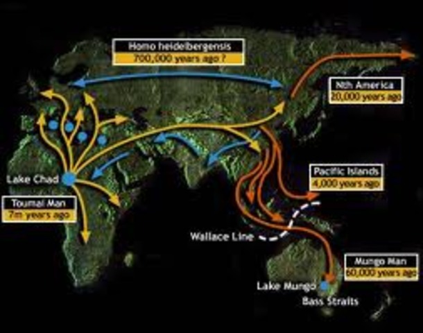 hardships for the migraters