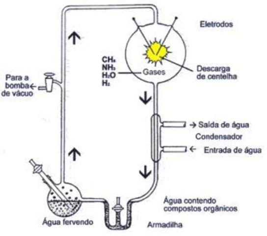 Teoria da evolução Molecular