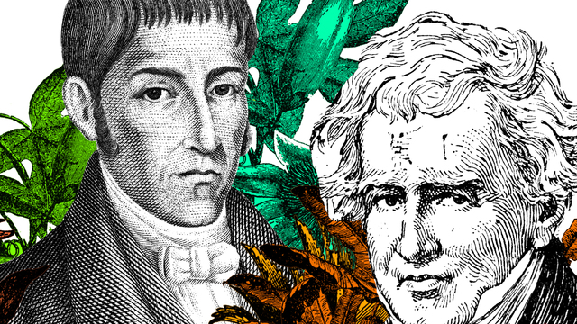 Real Expedición Botánica