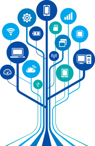 Replanteacion de Merril
