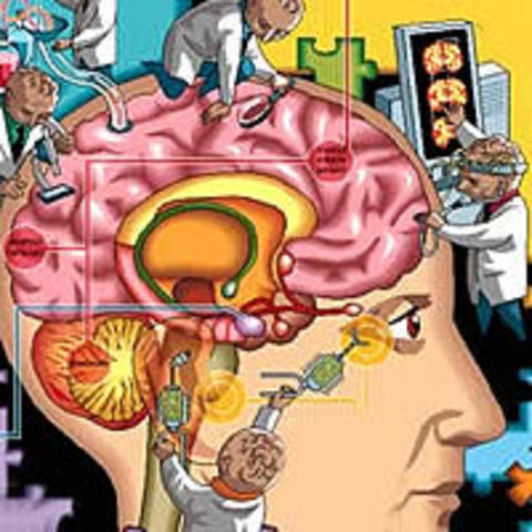 Objeto de Conocimiento