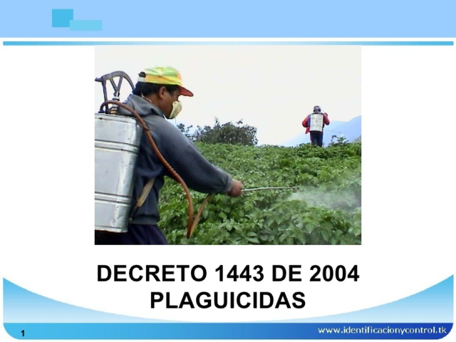Decreto 1443 de 2004