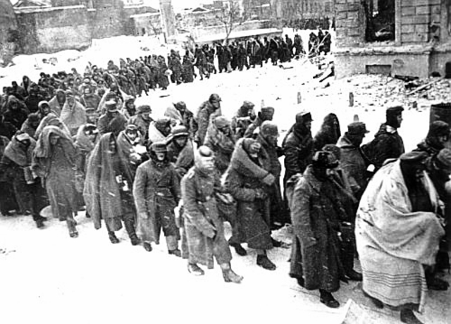 The Surrender of Stalingrad