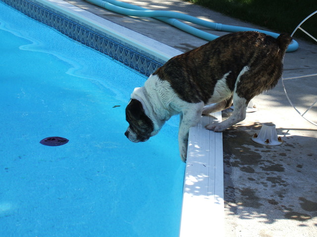 Veronica's 16th birthday