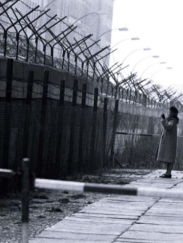 The Berlin wall (Book)