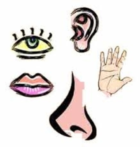 DECLORY: MÉTODO GLOBAL ( MÉTODO ANALÍTICO-SINTÉTICO)