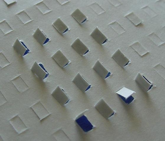 Hanging ¨Chads¨ in Flordia