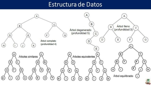 Década 1960 - Bases de datos en red y jerárquicas