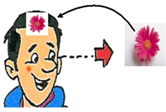 OBJETO DE CONOCIMIENTO