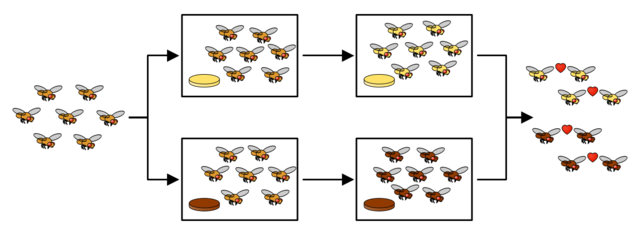 REPRODUCTIVE ISOLATION AS A CONSEQUENCE OF ADAPTIVE DIVERGENCE IN DROSOPHILA PSEUDOOBSCURA