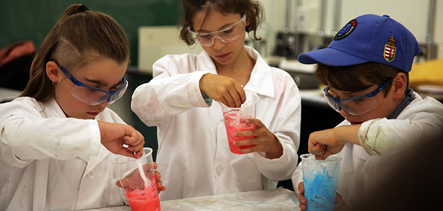 Volunteered at summer camp