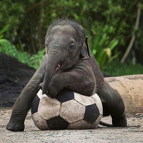 The Lost Ways by Claude Davis